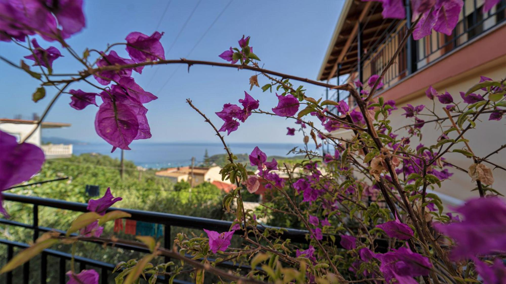 Studios Ristas 2 Parga Dış mekan fotoğraf